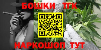дмт Можайск